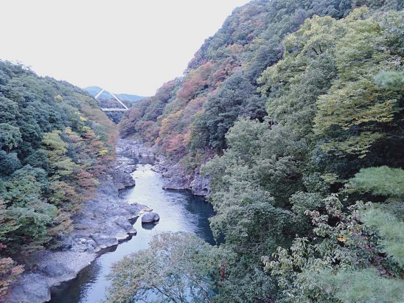 高津戸峡の高津戸橋から見える景色