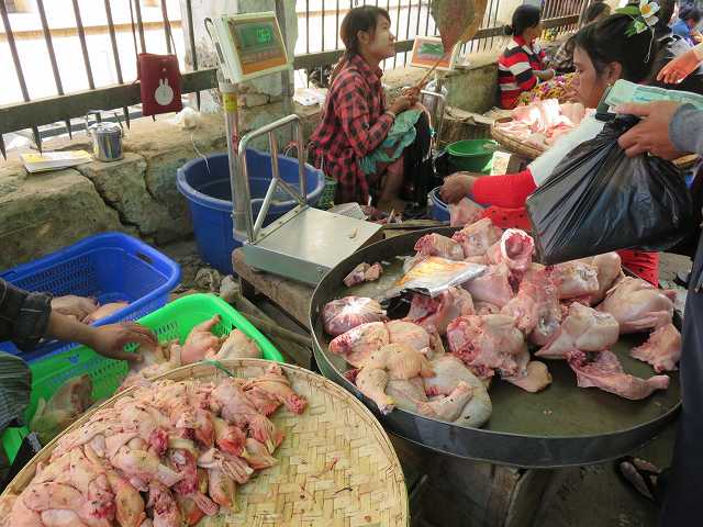 ミャンマーの市場で売っている鶏肉にハエがたかっている様子