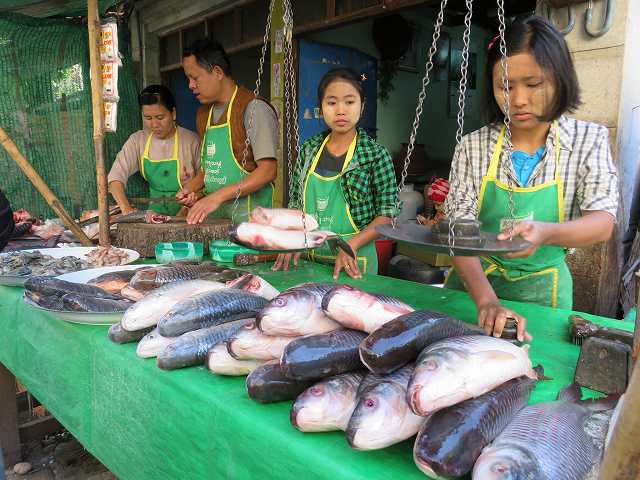 ミャンマーの市場で魚を売っているようす