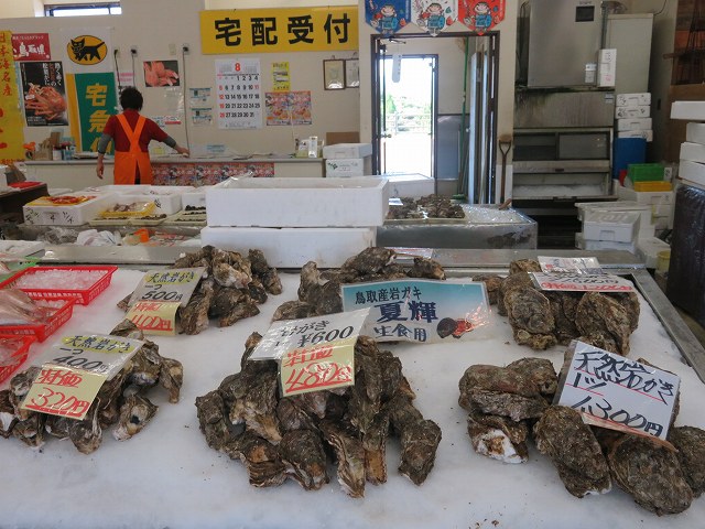 鳥取の道の駅はわいで売られている天然岩ガキ「夏輝」