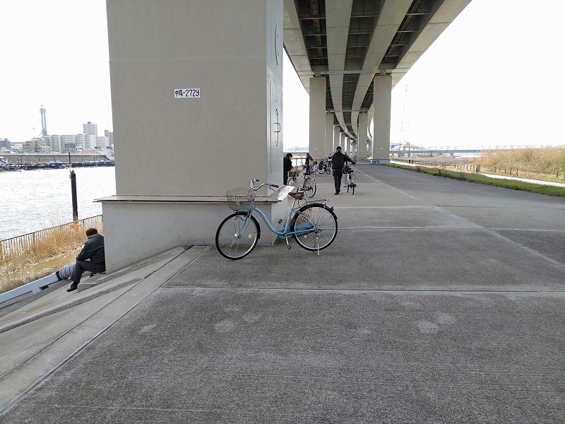 江戸川競艇場の対岸、首都高速の下の道路