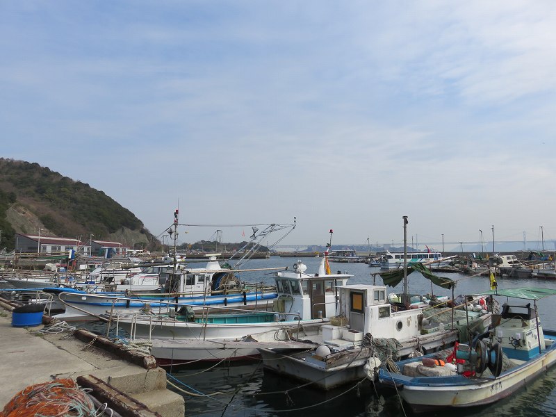 本島の港に停泊する漁船