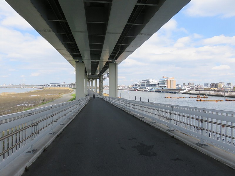 江戸川競艇場の対岸、首都高速の下の道路