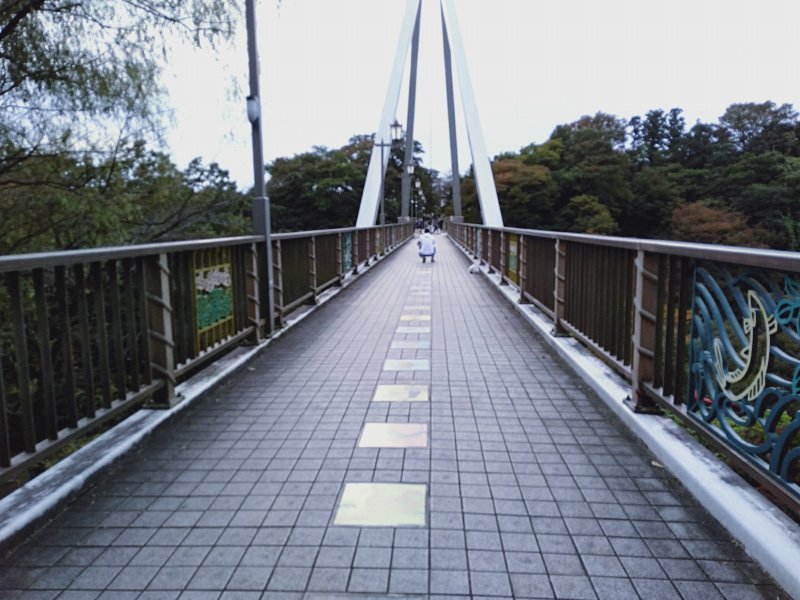 高津戸峡のはねたき橋